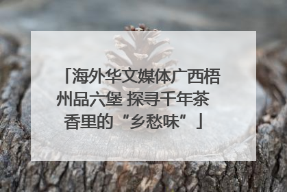 海外华文媒体广西梧州品六堡 探寻千年茶香里的“乡愁味”