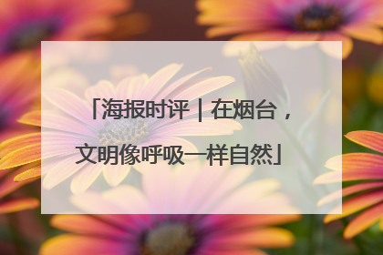 海报时评｜在烟台，文明像呼吸一样自然