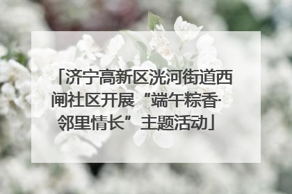 济宁高新区洸河街道西闸社区开展“端午粽香·邻里情长”主题活动