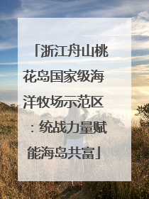 浙江舟山桃花岛国家级海洋牧场示范区：统战力量赋能海岛共富