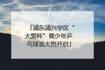 浦东浦兴学区“大爱杯”青少年乒乓球赛火热开启