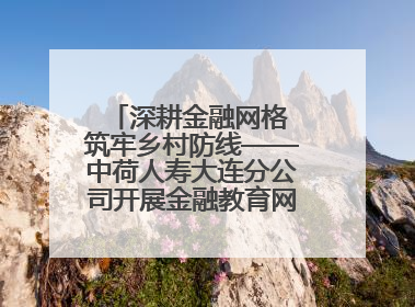 深耕金融网格 筑牢乡村防线——中荷人寿大连分公司开展金融教育网格化宣传活动