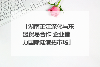 湖南芷江深化与东盟贸易合作 企业借力国际陆港拓市场