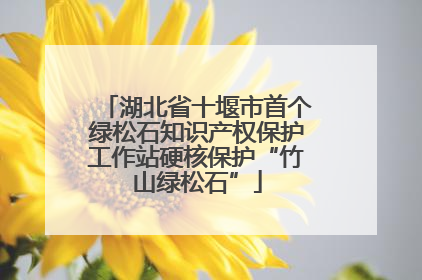 湖北省十堰市首个绿松石知识产权保护工作站硬核保护“竹山绿松石”
