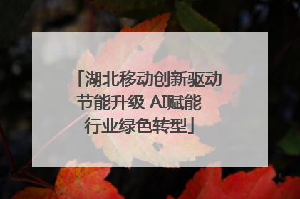 湖北移动创新驱动节能升级 AI赋能行业绿色转型