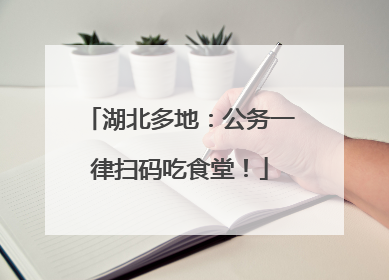 湖北多地：公务一律扫码吃食堂！