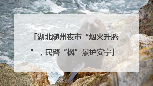 湖北随州夜市“烟火升腾”，民警“枫”景护安宁