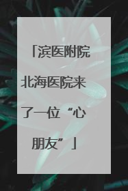 滨医附院北海医院来了一位“心朋友”