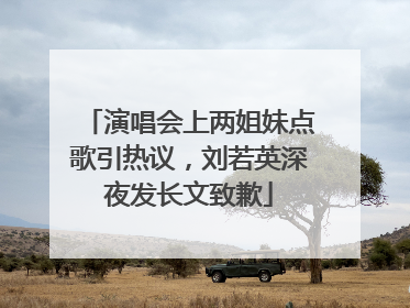 演唱会上两姐妹点歌引热议，刘若英深夜发长文致歉