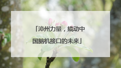 漳州力量，撬动中国脑机接口的未来