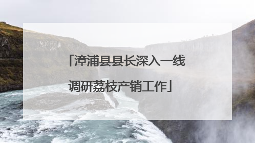 漳浦县县长深入一线调研荔枝产销工作