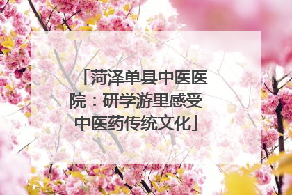 菏泽单县中医医院：研学游里感受中医药传统文化