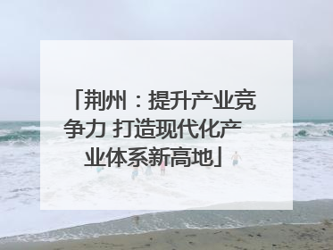 荆州：提升产业竞争力 打造现代化产业体系新高地
