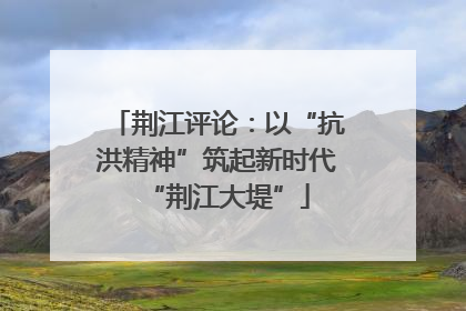 荆江评论：以“抗洪精神”筑起新时代“荆江大堤”