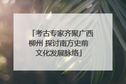 考古专家齐聚广西柳州 探讨南方史前文化发展脉络