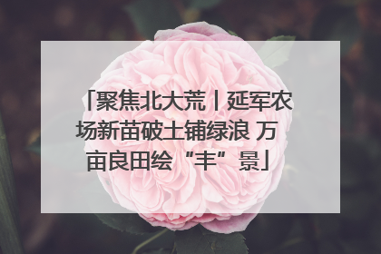 聚焦北大荒丨延军农场新苗破土铺绿浪 万亩良田绘“丰”景
