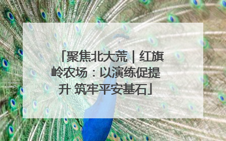 聚焦北大荒｜红旗岭农场：以演练促提升 筑牢平安基石