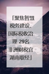 聚焦智慧税务建设、国际税收治理 29名非洲财税官湖南取经