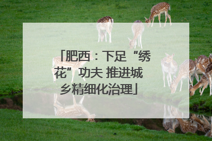 肥西：下足“绣花”功夫 推进城乡精细化治理