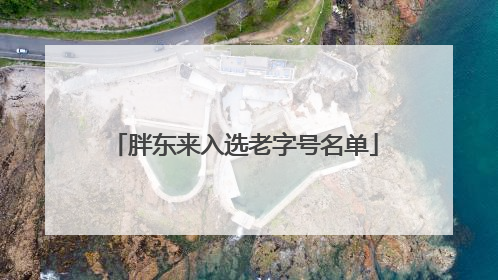 胖东来入选老字号名单