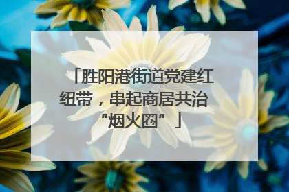 胜阳港街道党建红纽带，串起商居共治 “烟火圈”