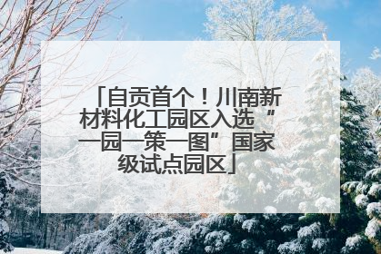 自贡首个！川南新材料化工园区入选“一园一策一图”国家级试点园区