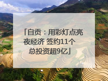 自贡：用彩灯点亮夜经济 签约11个总投资超9亿