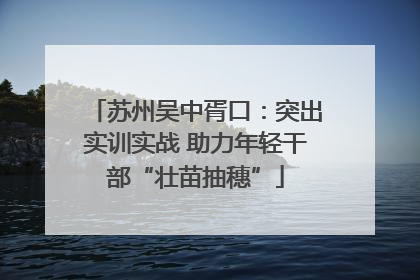 苏州吴中胥口：突出实训实战 助力年轻干部“壮苗抽穗”