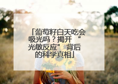 葡萄籽白天吃会吸光吗？揭开 “光敏反应” 背后的科学真相