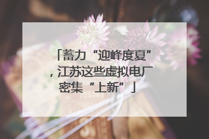 蓄力“迎峰度夏”，江苏这些虚拟电厂密集“上新”