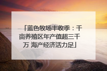 蓝色牧场丰收季：千亩养殖区年产值超三千万 海产经济活力足