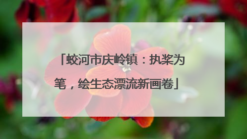 蛟河市庆岭镇：执桨为笔，绘生态漂流新画卷