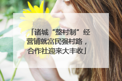 诸城“整村制”经营铺就富民强村路，合作社迎来大丰收