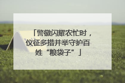 警徽闪耀农忙时，仪征多措并举守护百姓“粮袋子”