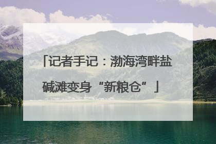 记者手记：渤海湾畔盐碱滩变身“新粮仓”