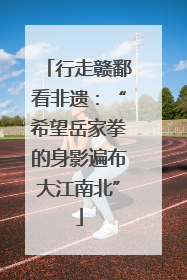 行走赣鄱看非遗：“希望岳家拳的身影遍布大江南北”