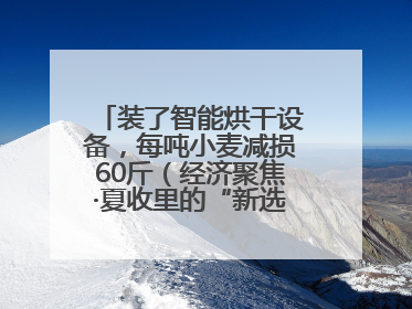 装了智能烘干设备，每吨小麦减损60斤（经济聚焦·夏收里的“新选手”）