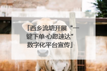 西乡流塘开展“一键下单·心愿速达”数字化平台宣传