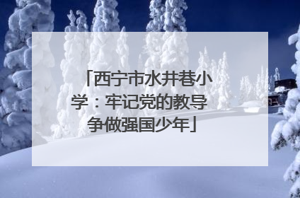 西宁市水井巷小学：牢记党的教导 争做强国少年