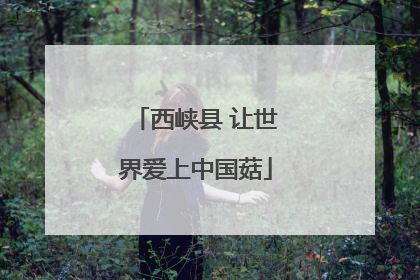 西峡县 让世界爱上中国菇