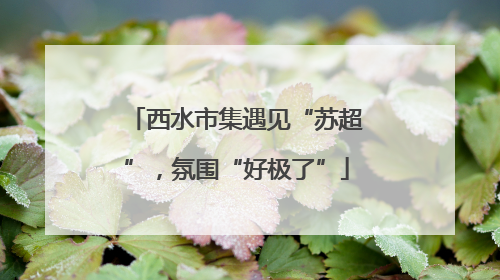 西水市集遇见“苏超”，氛围“好极了”