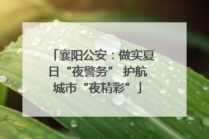 襄阳公安：做实夏日“夜警务” 护航城市“夜精彩”