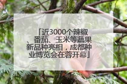 近3000个辣椒、番茄、玉米等蔬果新品种亮相，成都种业博览会在蓉开幕