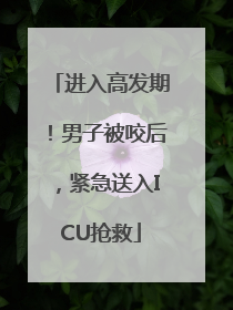 进入高发期！男子被咬后，紧急送入ICU抢救