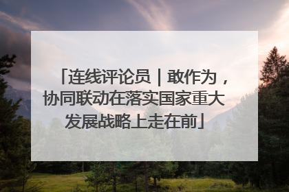 连线评论员｜敢作为，协同联动在落实国家重大发展战略上走在前