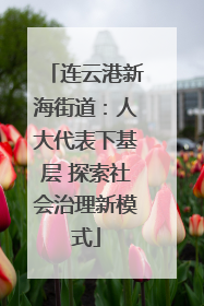 连云港新海街道：人大代表下基层 探索社会治理新模式