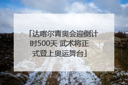 达喀尔青奥会迎倒计时500天 武术将正式登上奥运舞台