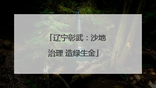 辽宁彰武：沙地治理 造绿生金