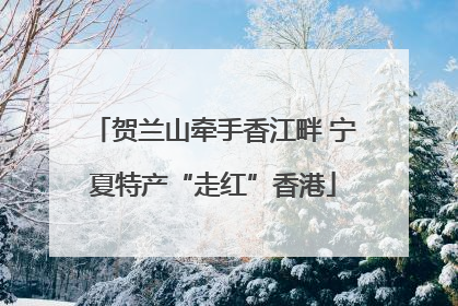 贺兰山牵手香江畔 宁夏特产“走红”香港