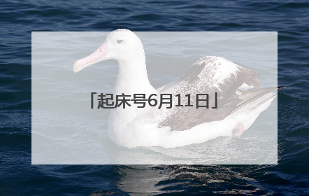 起床号6月11日